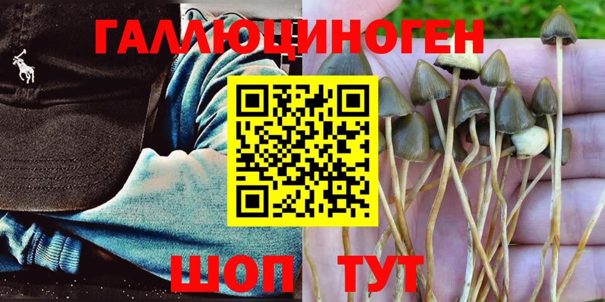 Лесозаводск  Псилоцибиновые грибы прущие грибы  Псилоцибиновые грибы мухоморы  Вход с VPN 