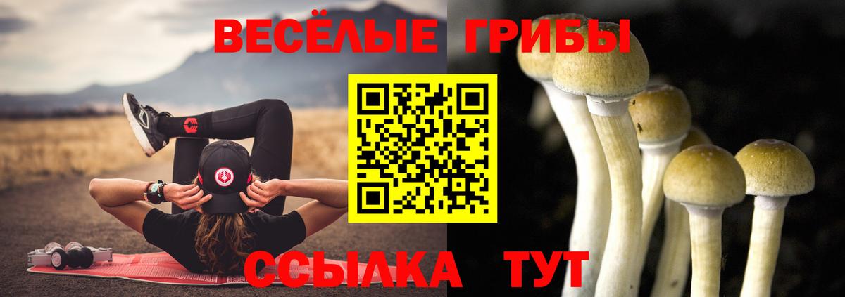Галлюциногенные грибы мицелий Лесозаводск