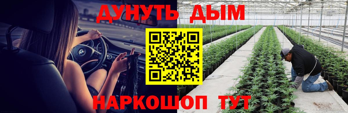 Конопля Amnesia Лесозаводск